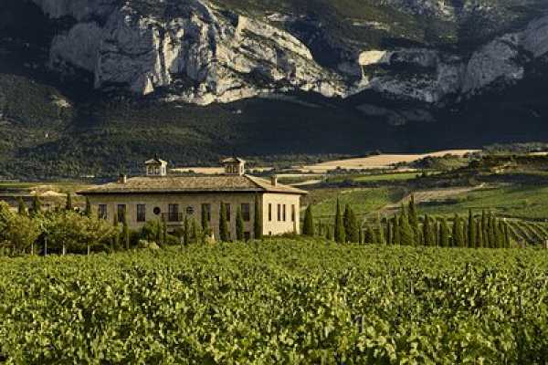  Vino, comida y cultura