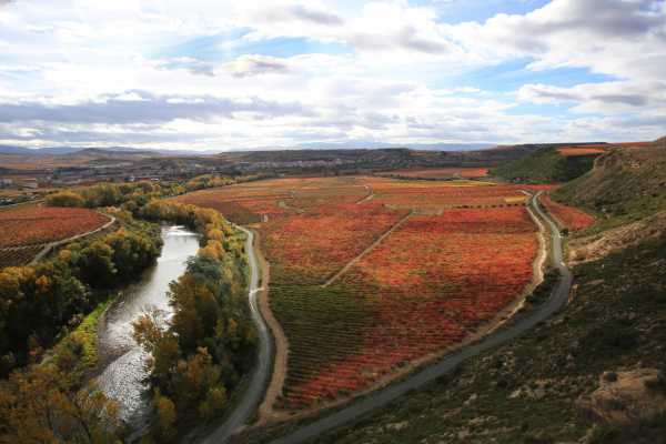  LA COMPLEJIDAD DEL VI&Ntilde;EDO