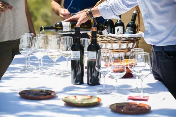  BA&Ntilde;ADOS EN VINO