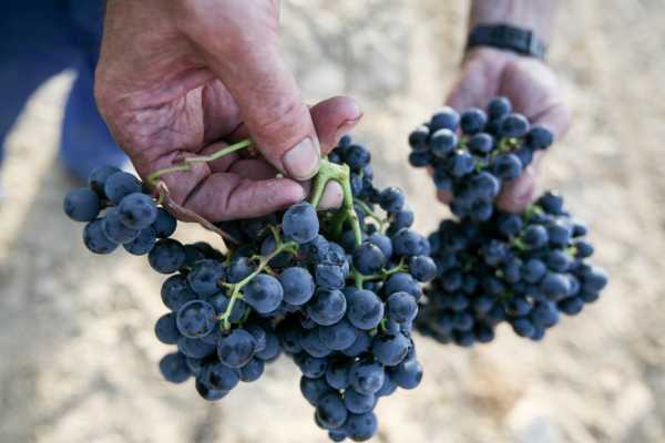  LOS PRIVILEGIOS DEL AGUA