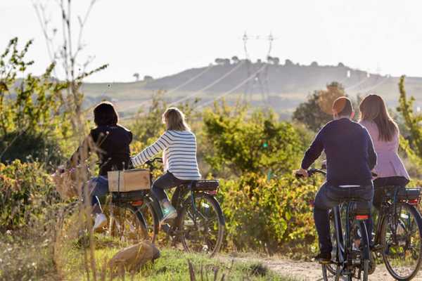 UN VI&Ntilde;EDO RODADO