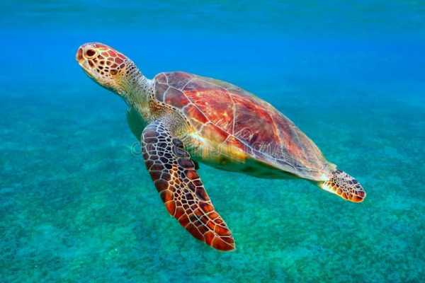  Marsaalam Excursions