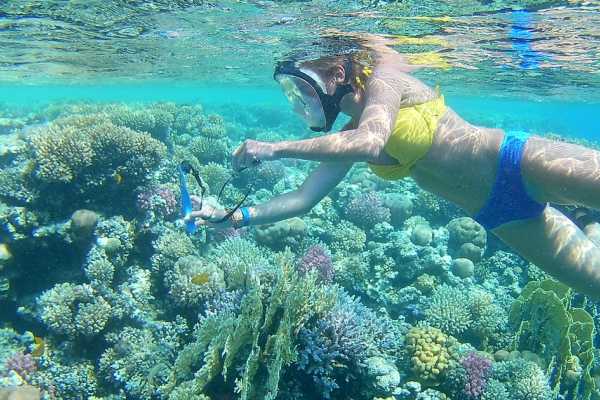  Snorkeling Trips From Marsa Alam