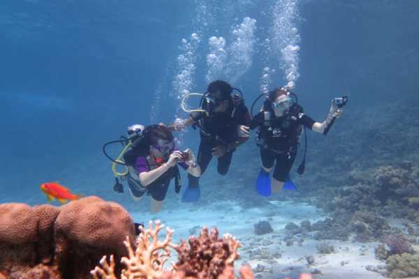  Diving Excursions From Marsa Alam