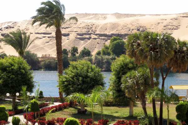  Aswan Day Trips&nbsp;