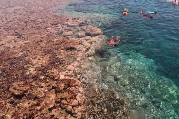  Schnorchelausfl&uuml;ge von Sharm El Sheikh