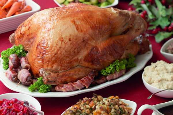  Night Dinner Cruises in Cairo