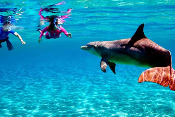  Soma bay tours&nbsp;