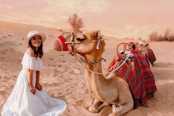  Cairo Tours From Makadi