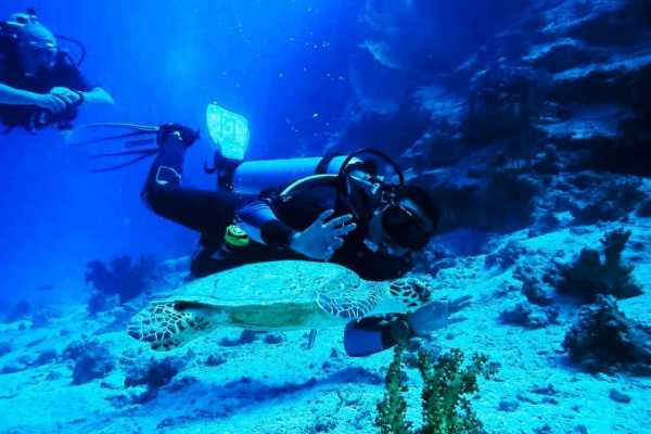  Diving Trips From Soma bay