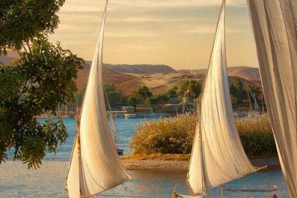  Aswan Day Tours